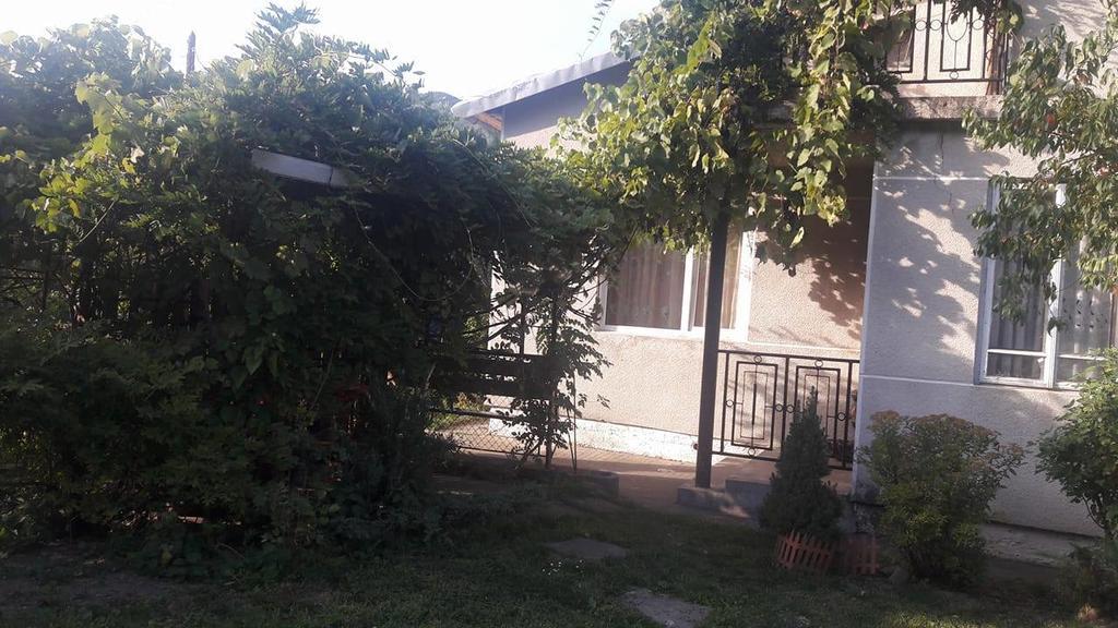 Sadyba Karpatskyi Vedmid Kossiw Exterior foto